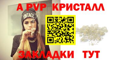 прущие грибы Гусиноозёрск