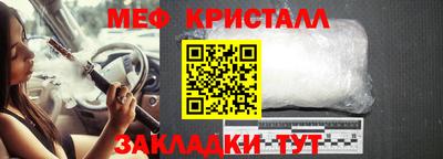 прущие грибы Гусиноозёрск