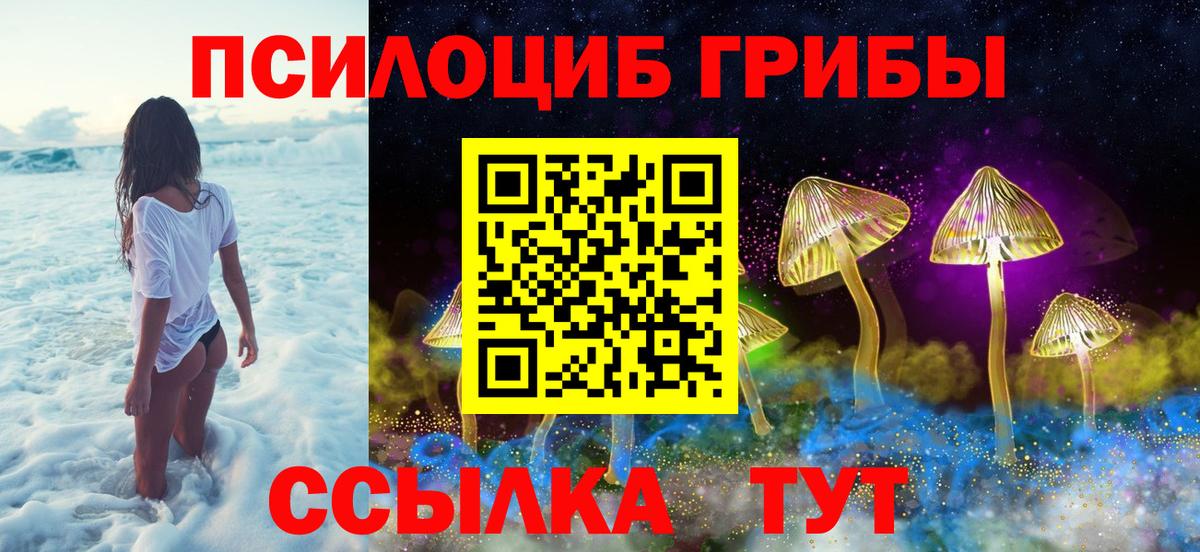 Курчатов  Псилоцибиновые грибы Cubensis  наркота  Вход с VPN 